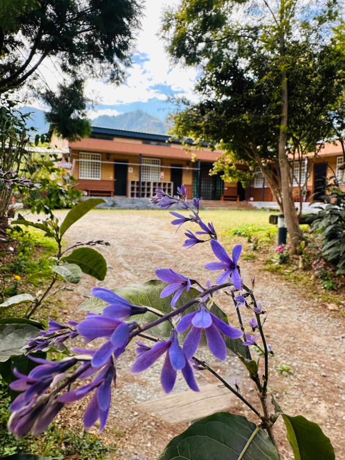 GO Bill B&B Xinyi Dış mekan fotoğraf